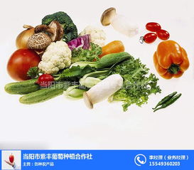 平頂山農產品免費配送 打造便捷生活新體驗